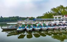 龙潭公园11