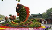 龙潭公园28