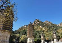 银山塔林4