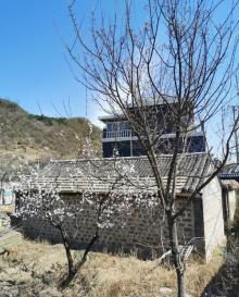 银山塔林10