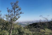 北京西山国家森林公园27