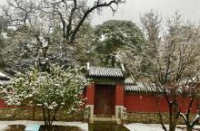 北京西山国家森林公园19