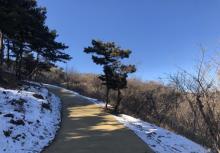 北京西山国家森林公园15