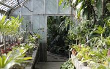 国家植物园南园11