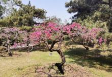 国家植物园南园29