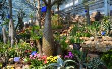 国家植物园南园3
