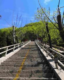京东大峡谷21