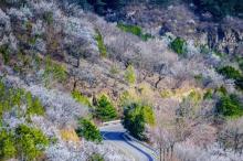 云蒙山风景区3