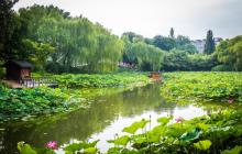 紫竹院公园20