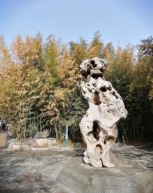 紫竹院公园26
