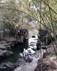 紫竹院公园25
