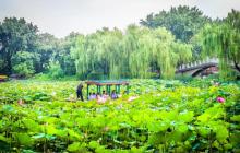 紫竹院公园23