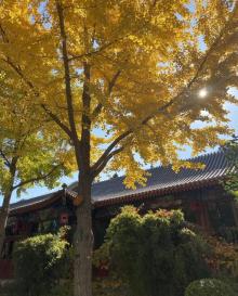 日坛公园23