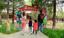 南宫五洲植物乐园21