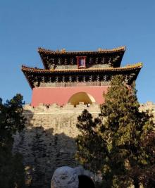 长陵16