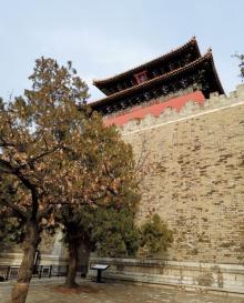 长陵19