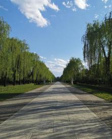 明十三陵神路景区10
