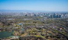 奥林匹克森林公园15