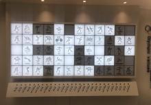 奥林匹克森林公园24