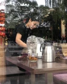 什刹海酒吧街11