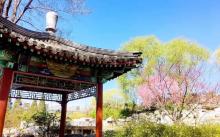 世界花卉大观园27