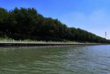 皇家御河游11