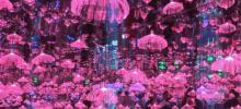 梵高星空艺术馆（王府井旗舰店）2