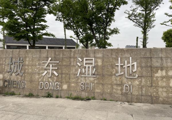 城东湿地