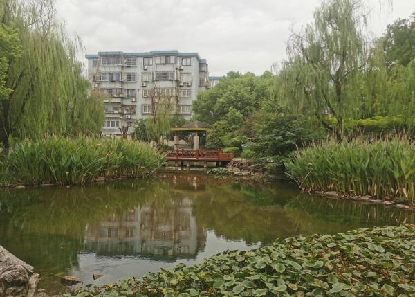 绿逸公园