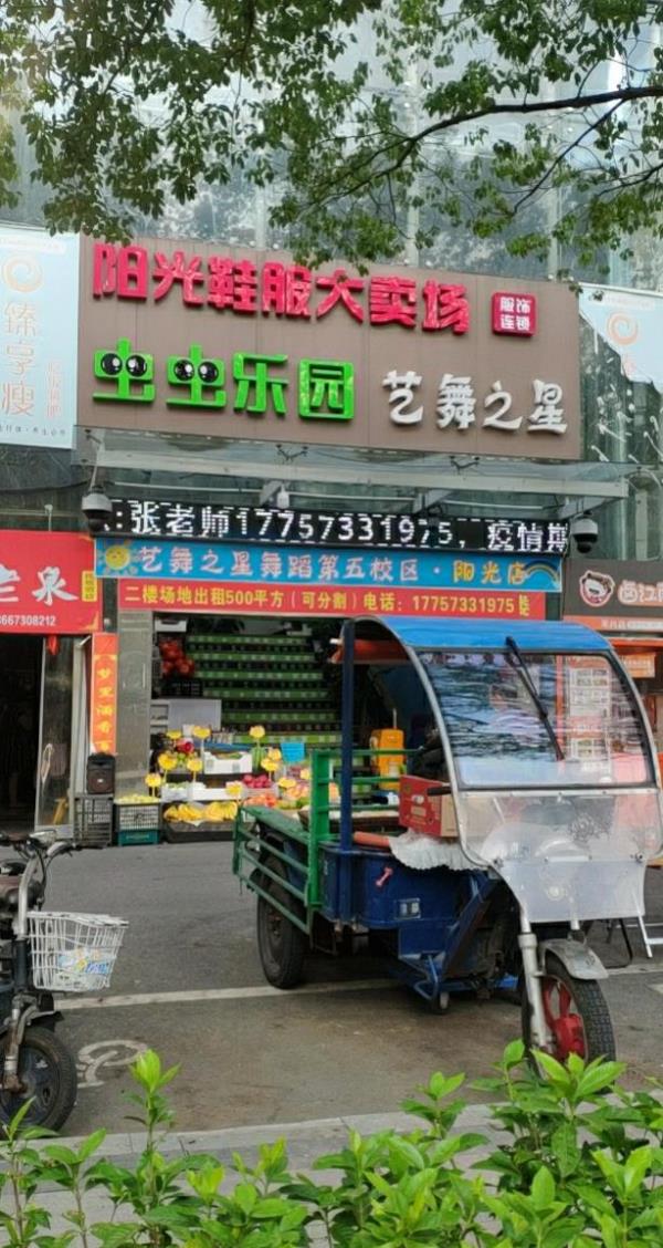 虫虫乐园