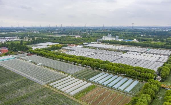 上海菲尼克斯庄园