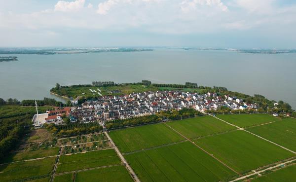 蔡浜村