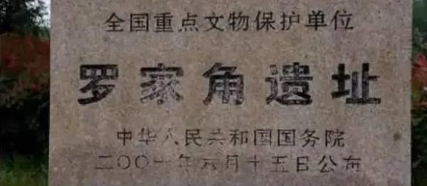 罗家角遗址