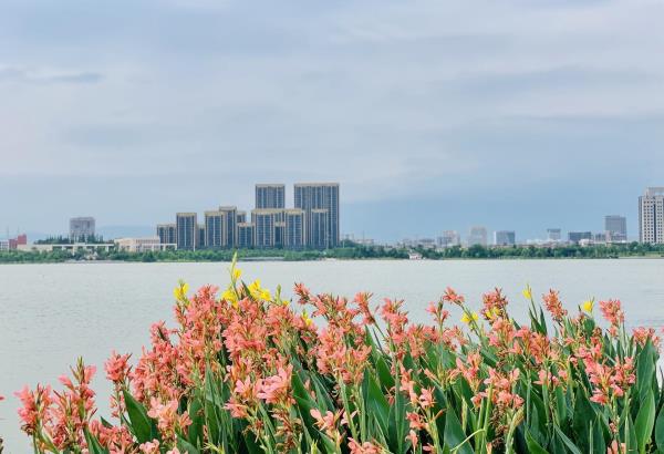 海塘文化公园