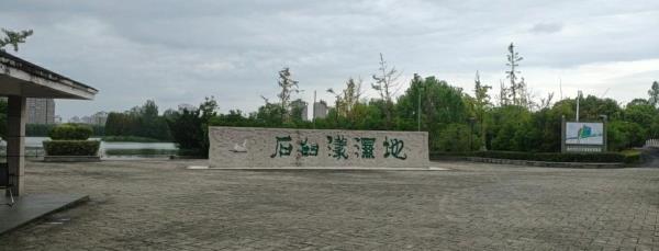 石臼漾湿地