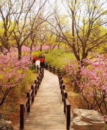 国家植物园(原北京植物园)28