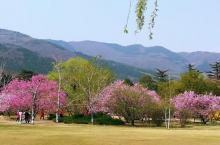 国家植物园(原北京植物园)30