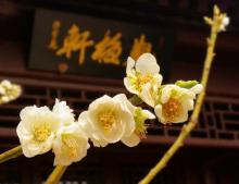 国家植物园(原北京植物园)29