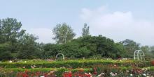 国家植物园(原北京植物园)24