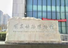 国家动物博物馆3