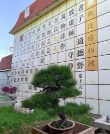 观复博物馆24