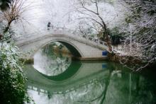 中山公园6