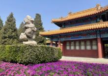 中山公园18