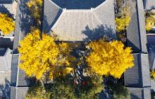 红螺寺5