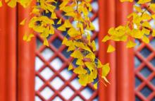 红螺寺18