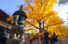 红螺寺12