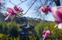 红螺寺25