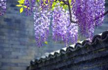 红螺寺27