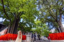 红螺寺23