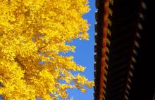 红螺寺9